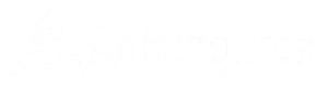 Anhanguera LOGO BRANCA