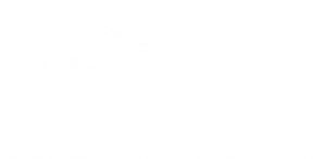 LOGO LUXUOSOS BRANCA